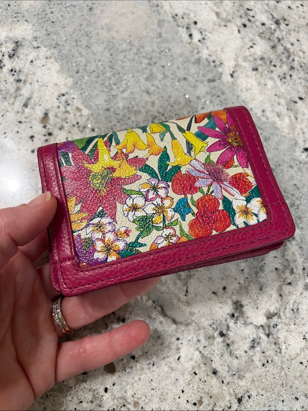 Brighton Multi Paradise Garden Card Case